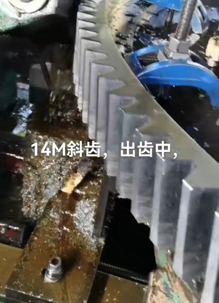14m斜齒，出齒中